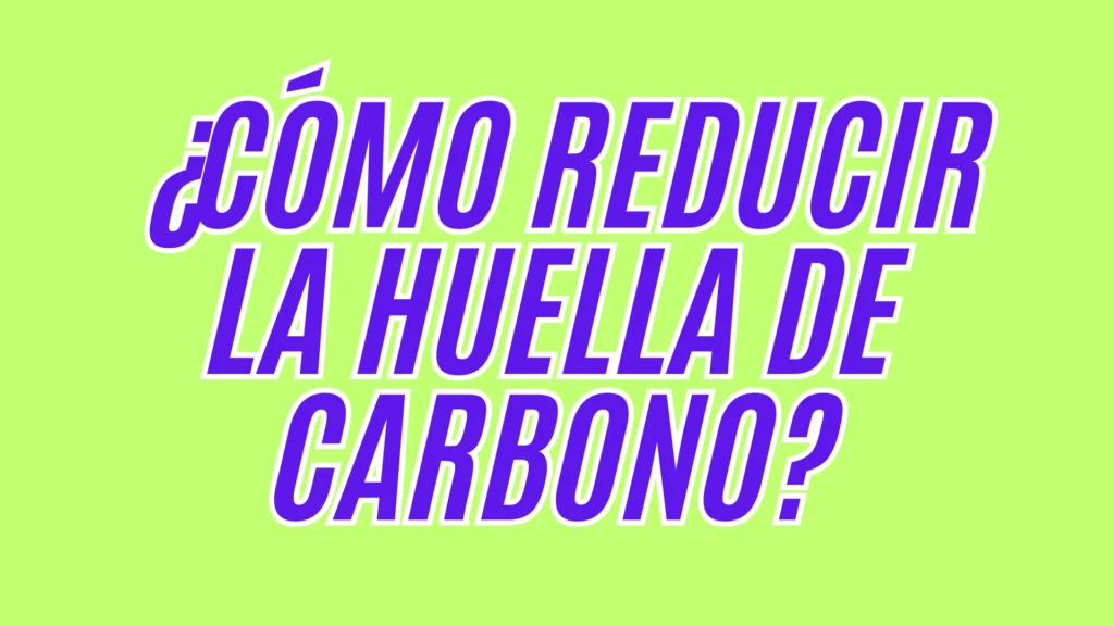 ¿Cómo Reducir Tu Huella De Carbono Al Comprar En Línea? – 10 Consejos